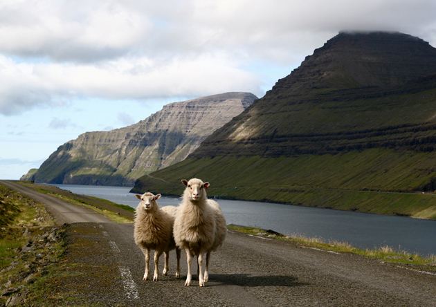 Comedores Na Encontre Ilhas Faroé Menina